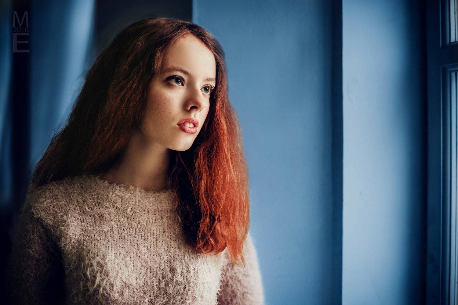 , Евгений Морозов