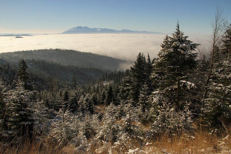 Tatry фото превью