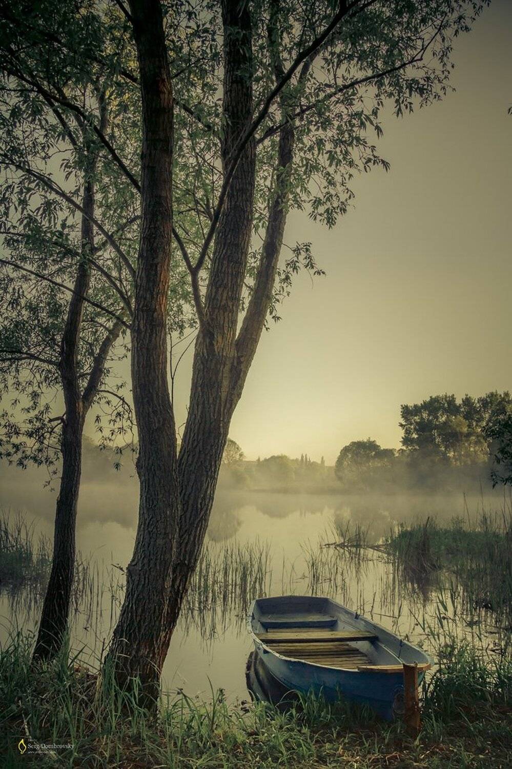 Беларусь, Серж Домбровский