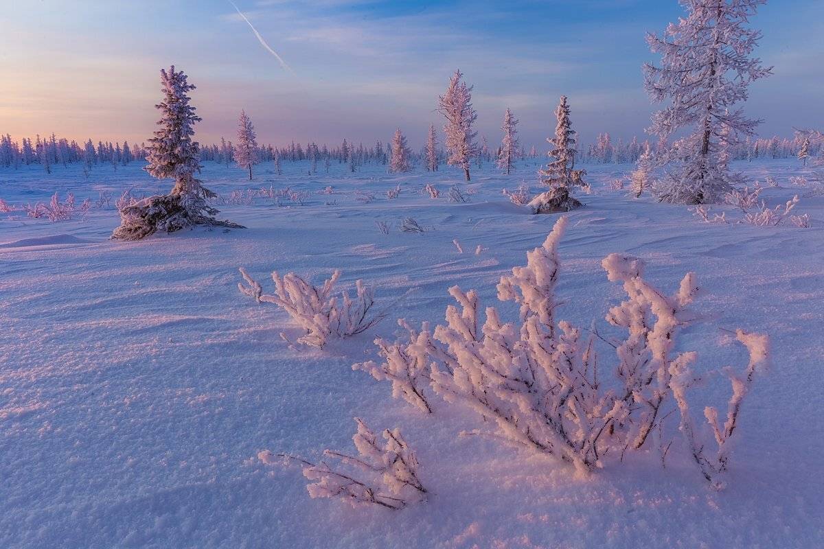 ямал, мороз, зима, снег, закат, полярный урал, север, наст, Кирилл Уютнов