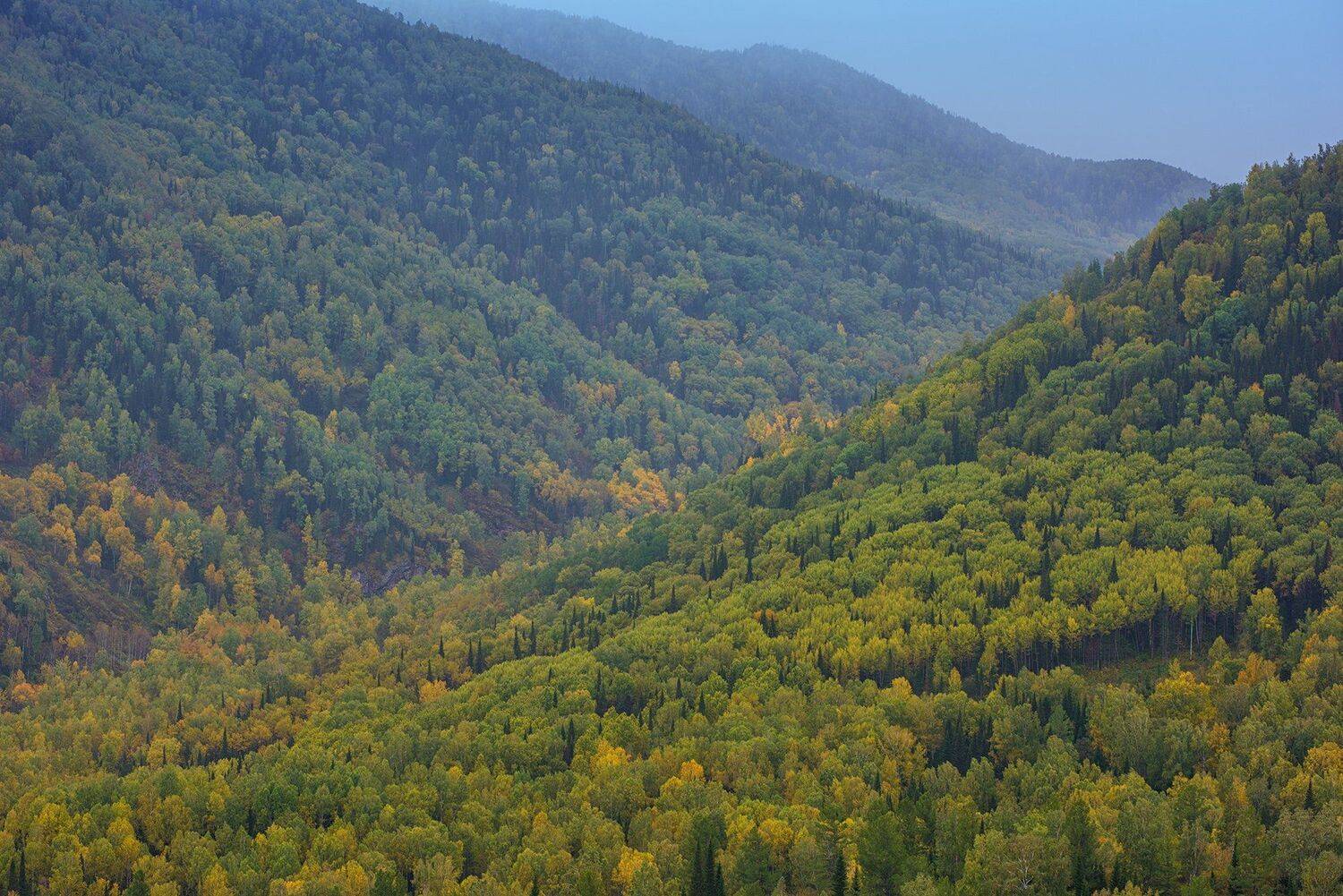 алтай, тигирек, Ruslan