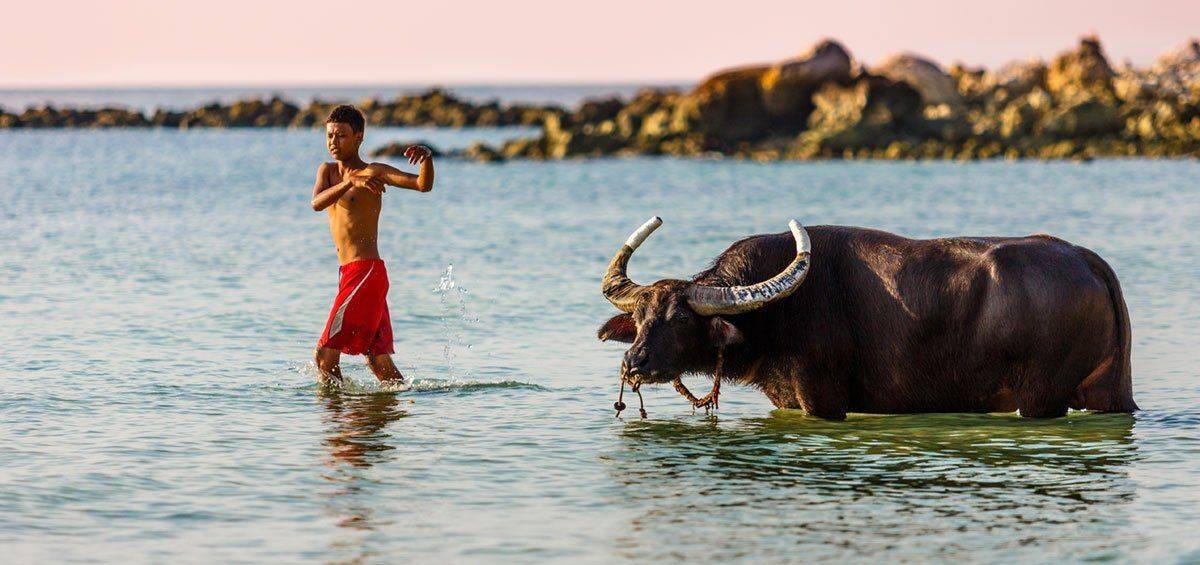 , Владимир Сковородников