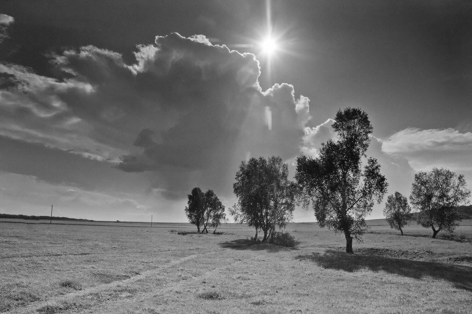 , Николай Морский