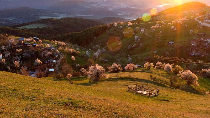 mountain, rodopi, болгария, вulgaria, гора, родопи Родопи фото превью
