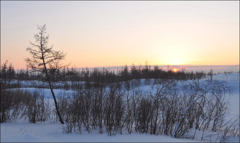 Все выше и выше фото превью