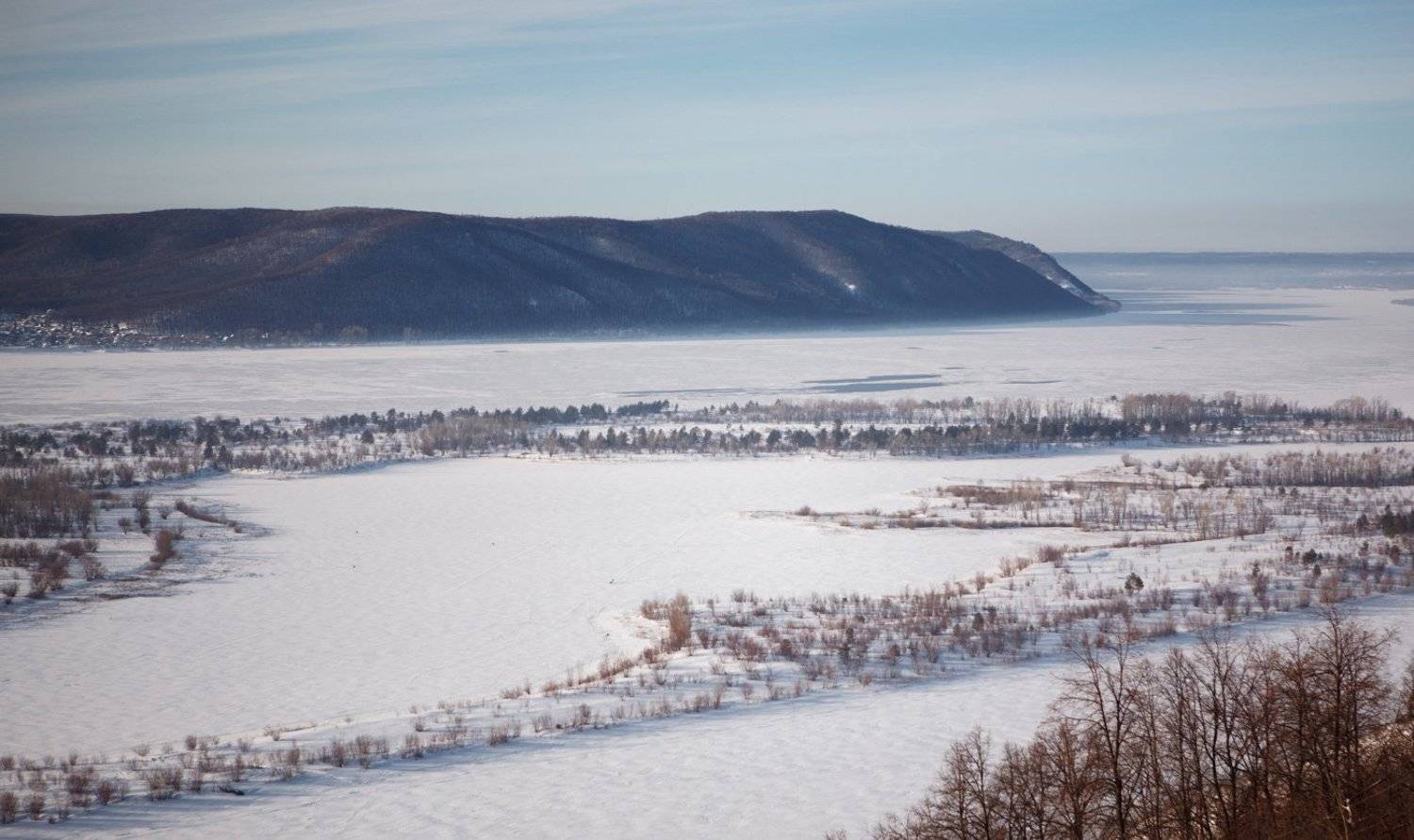 , Николай Алехин