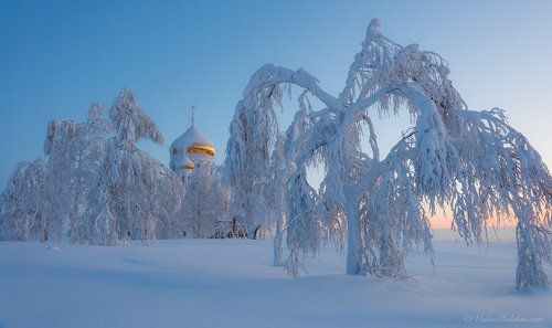 Уральские пальмы