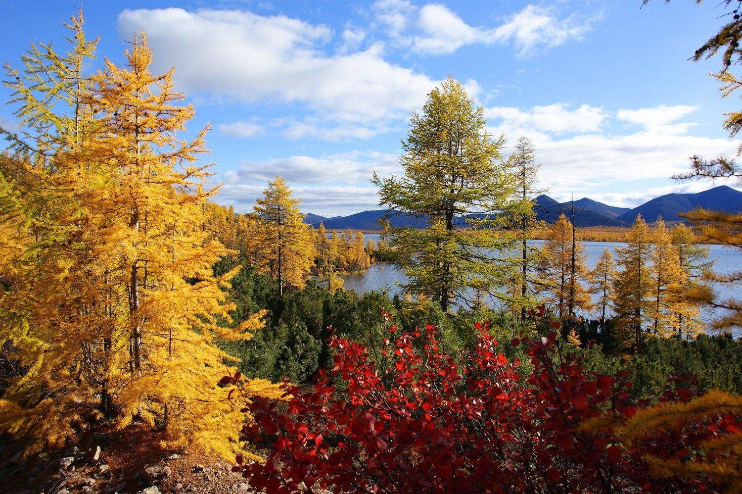 , Андрей Загребельный