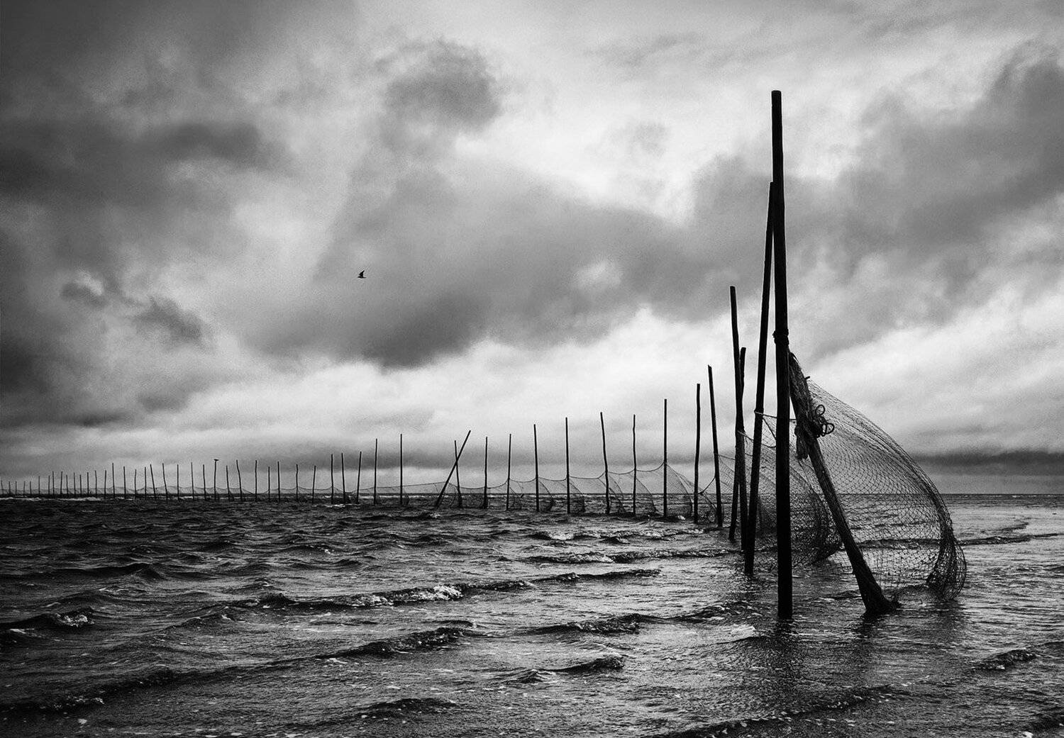 море, черно-белое, Александр Малафеевский