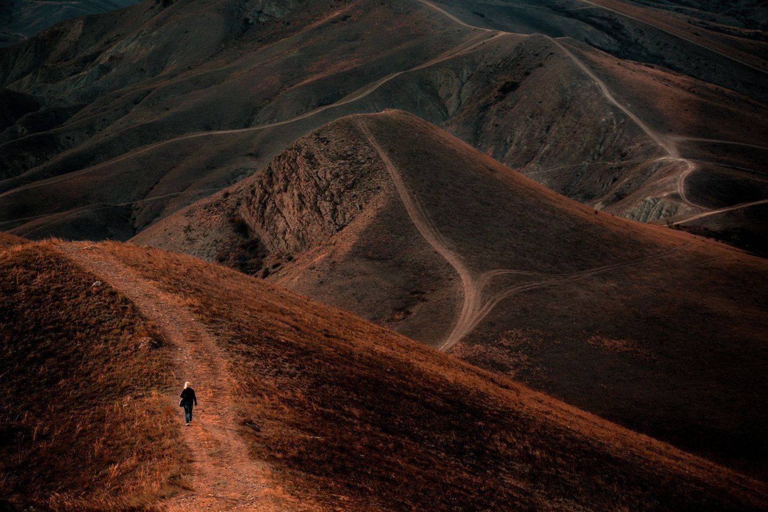 , Бруно Томский