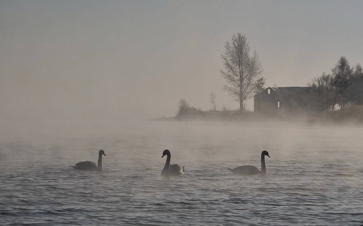 , Володимир Карчевський