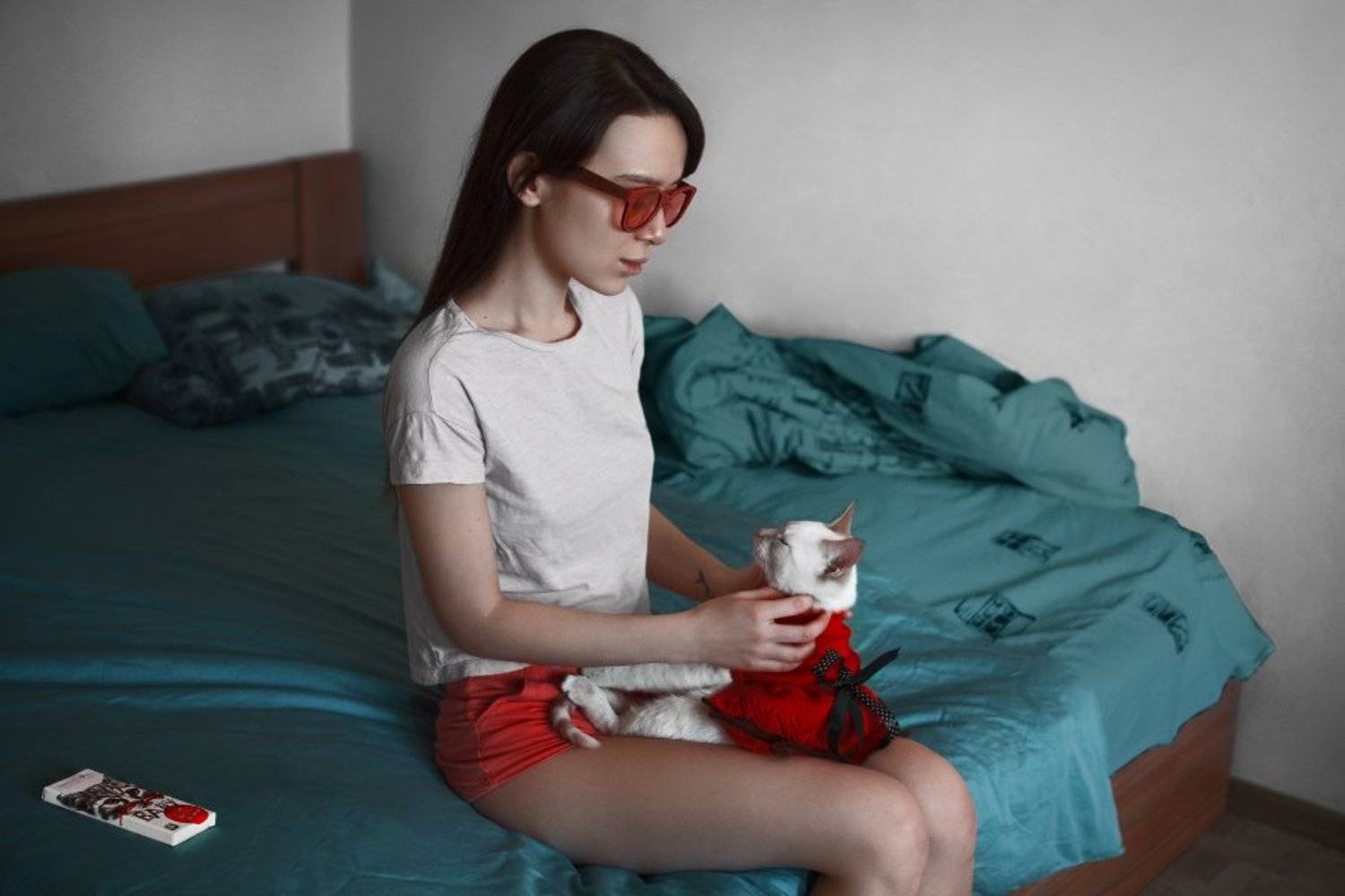 Cat, Eartus, Girl, Sergey fedotov, Сергей Федотов