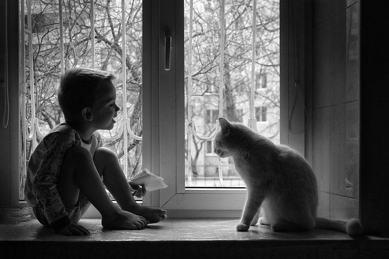 Друзья фото превью