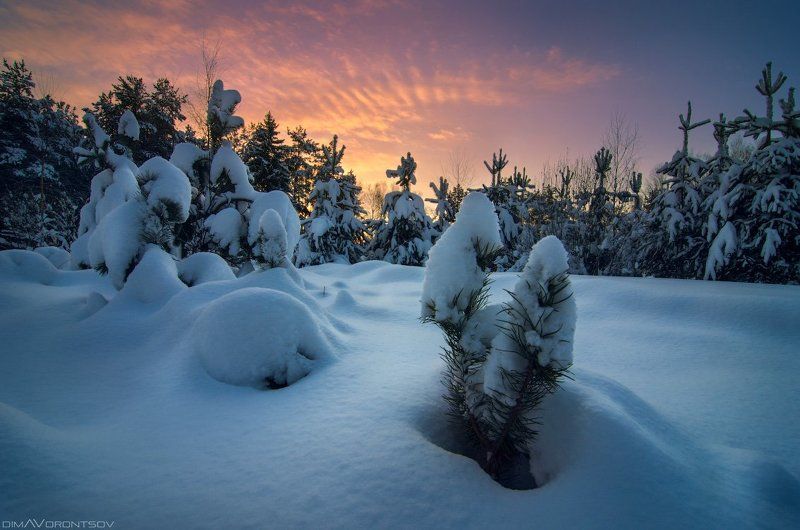зима, снег, Россия Снежная зима фото превью