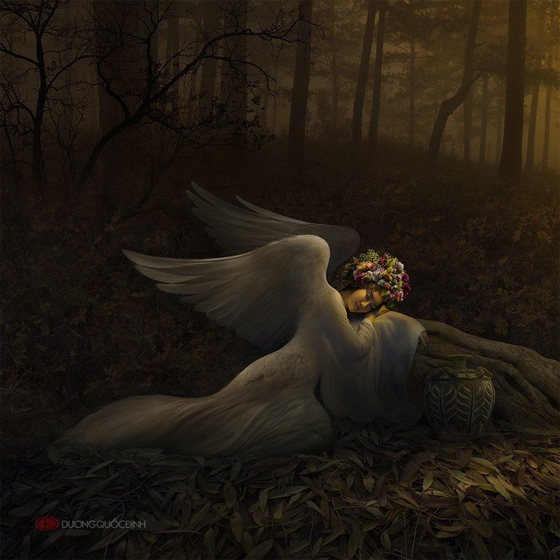 Angel фото превью
