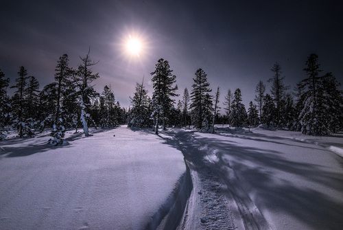 Под светом луны