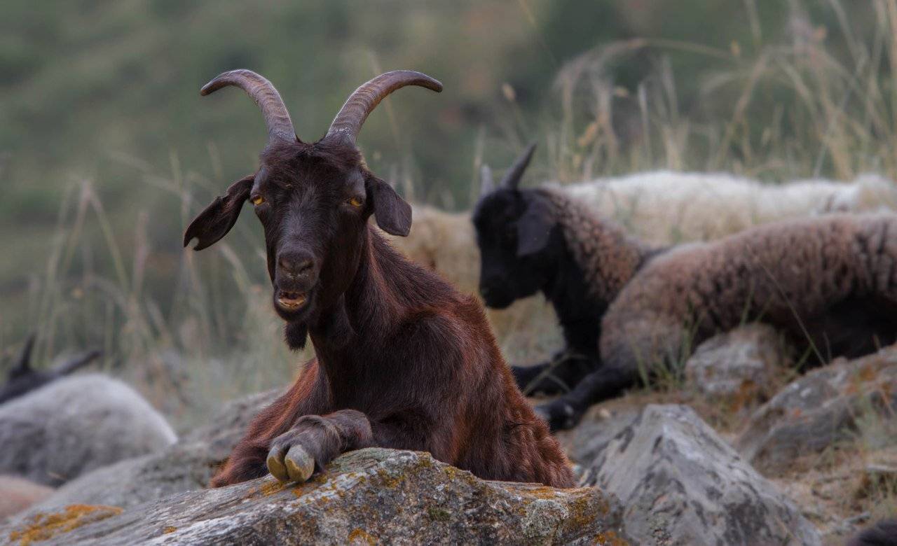 , Петрова Татьяна