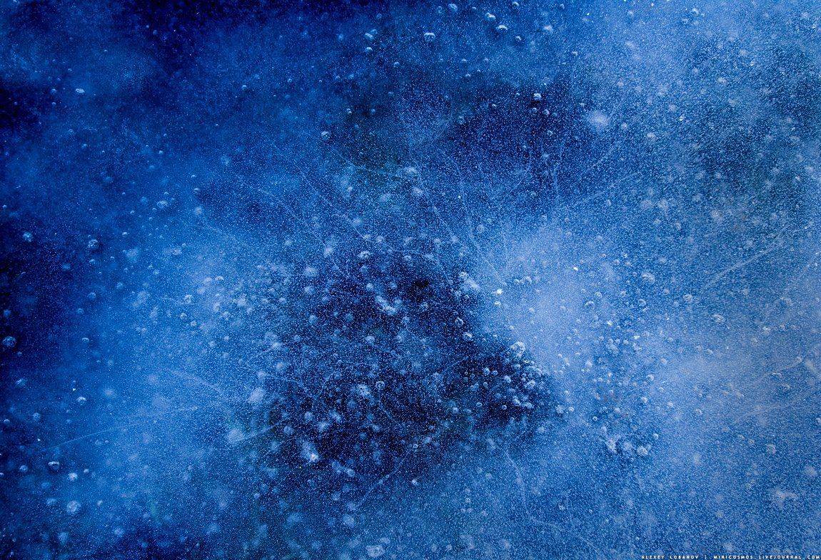 , Алексей Лобанов