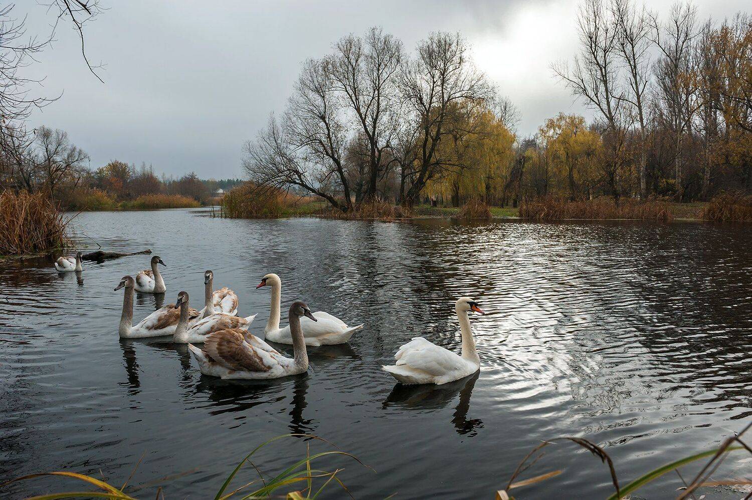 , Валерий Смирнов