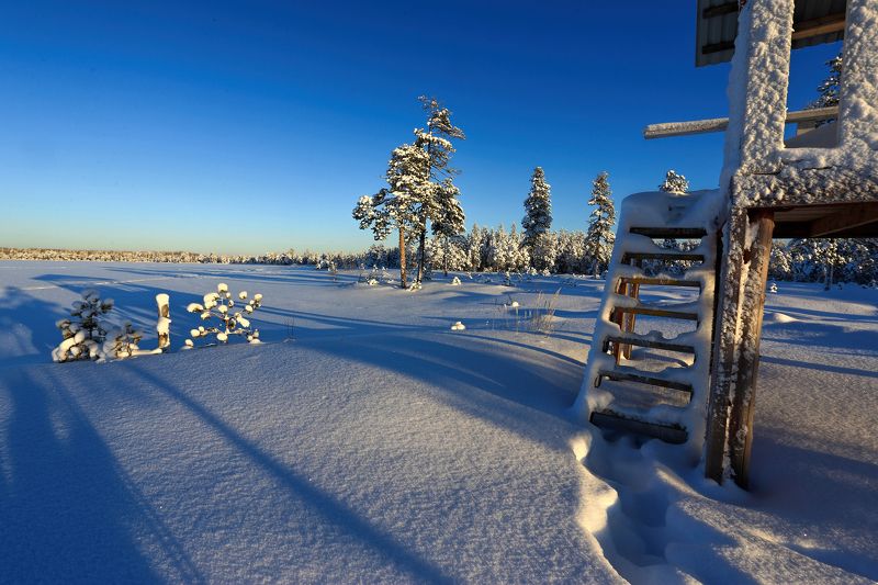 зима, озеро, снег, тени Длинные тени фото превью