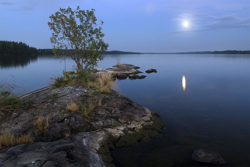 *** фото превью