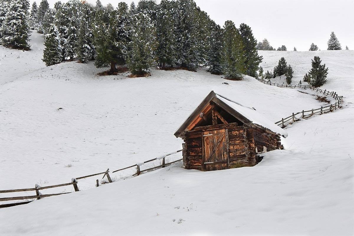 , Игорь Дубровский