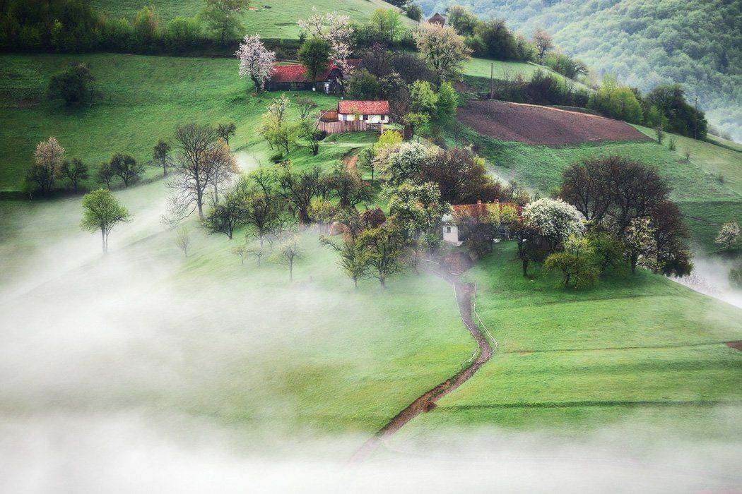 , Stefan Chirobocea