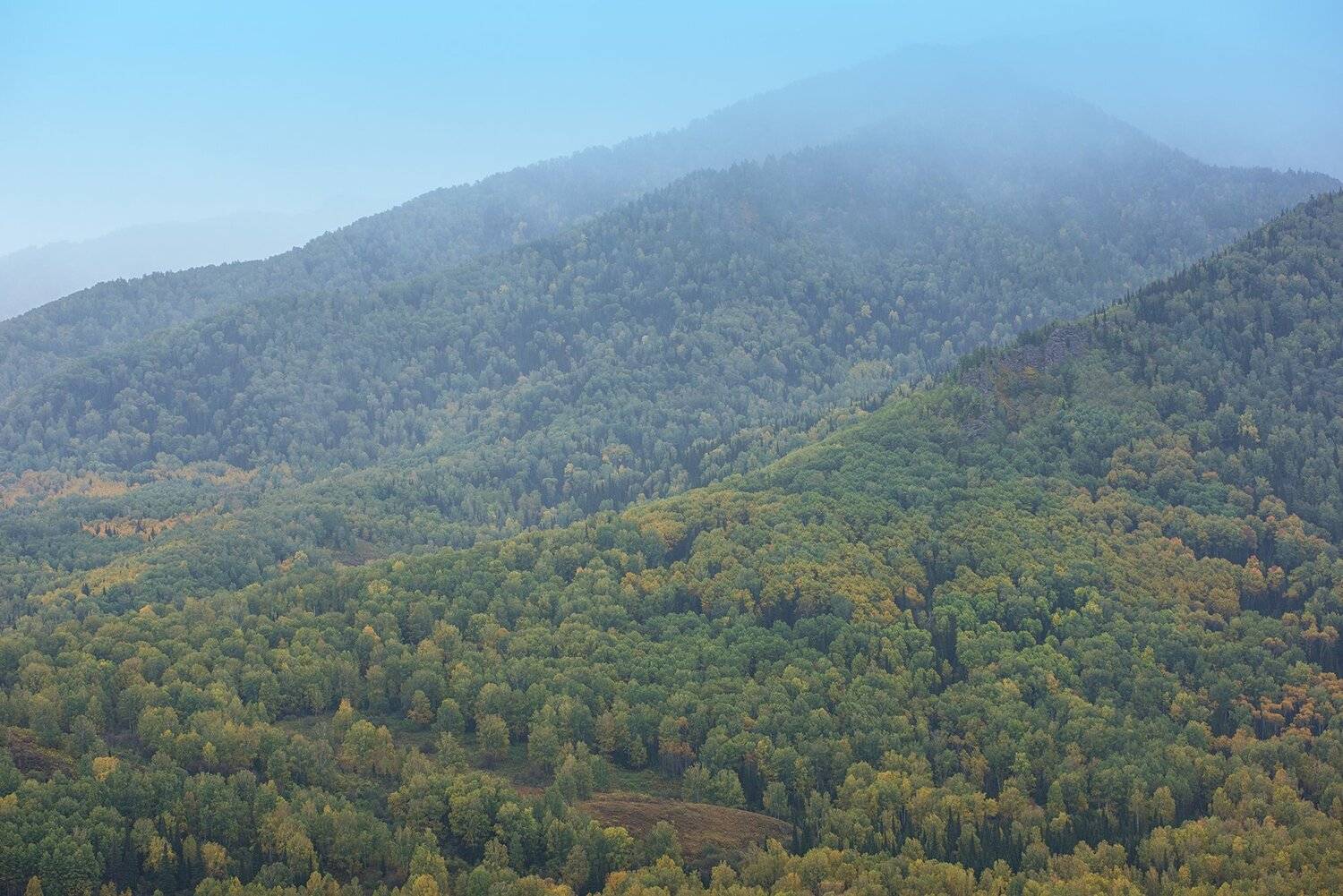 алтай, тигирек, Ruslan