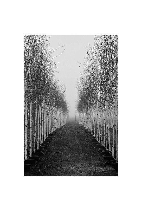 Min. фото превью