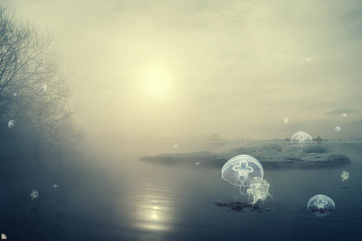 , Осипов Ёжъ Александр