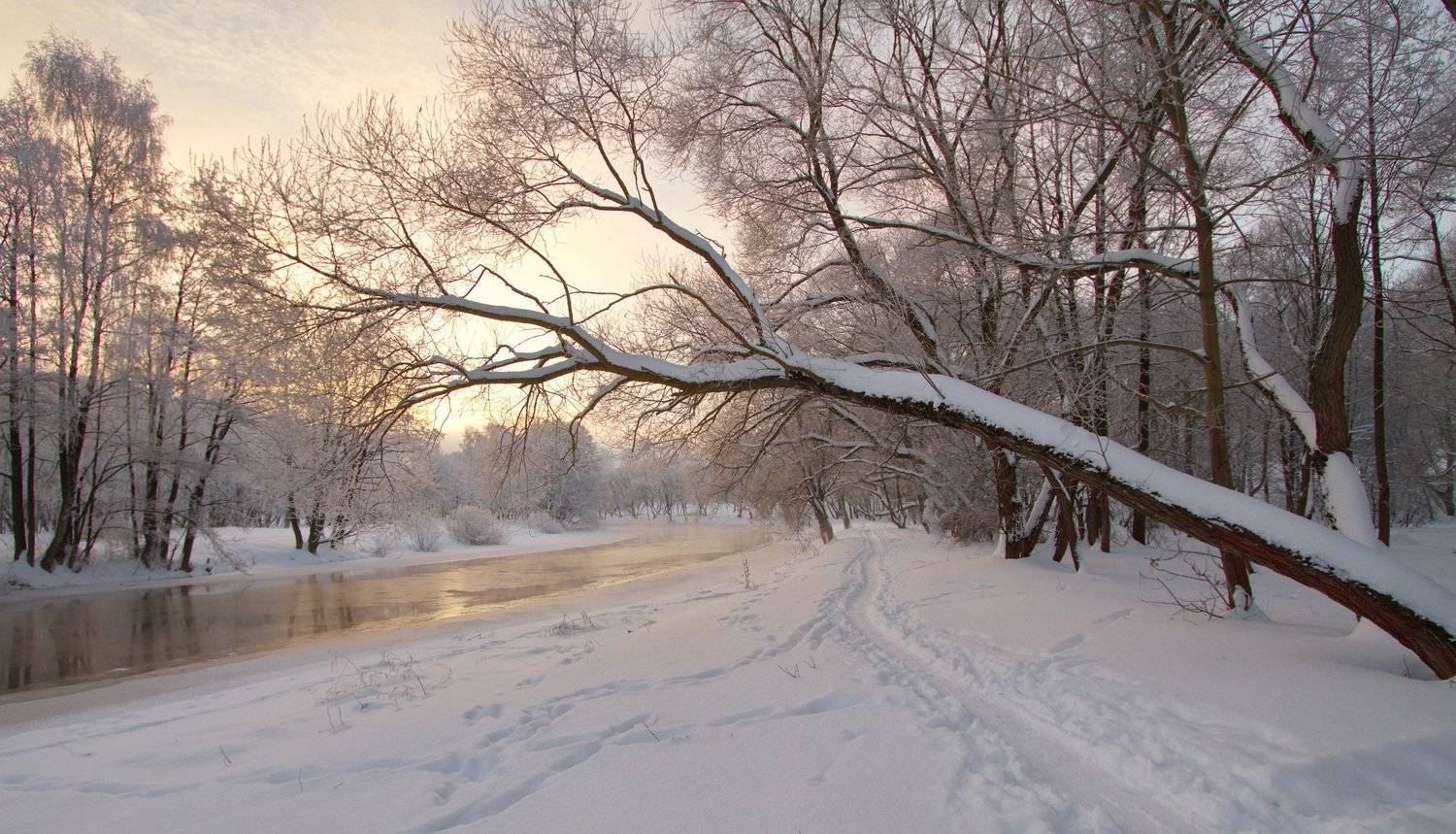 , Володя Демидчик