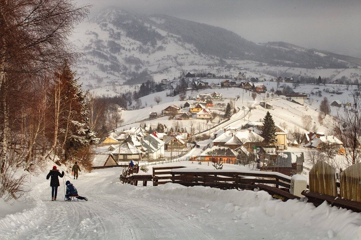 , Nicolae Fanurie Chirobocea