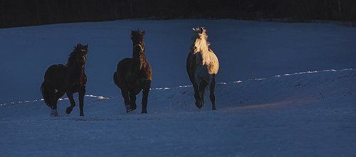 Русская тройка