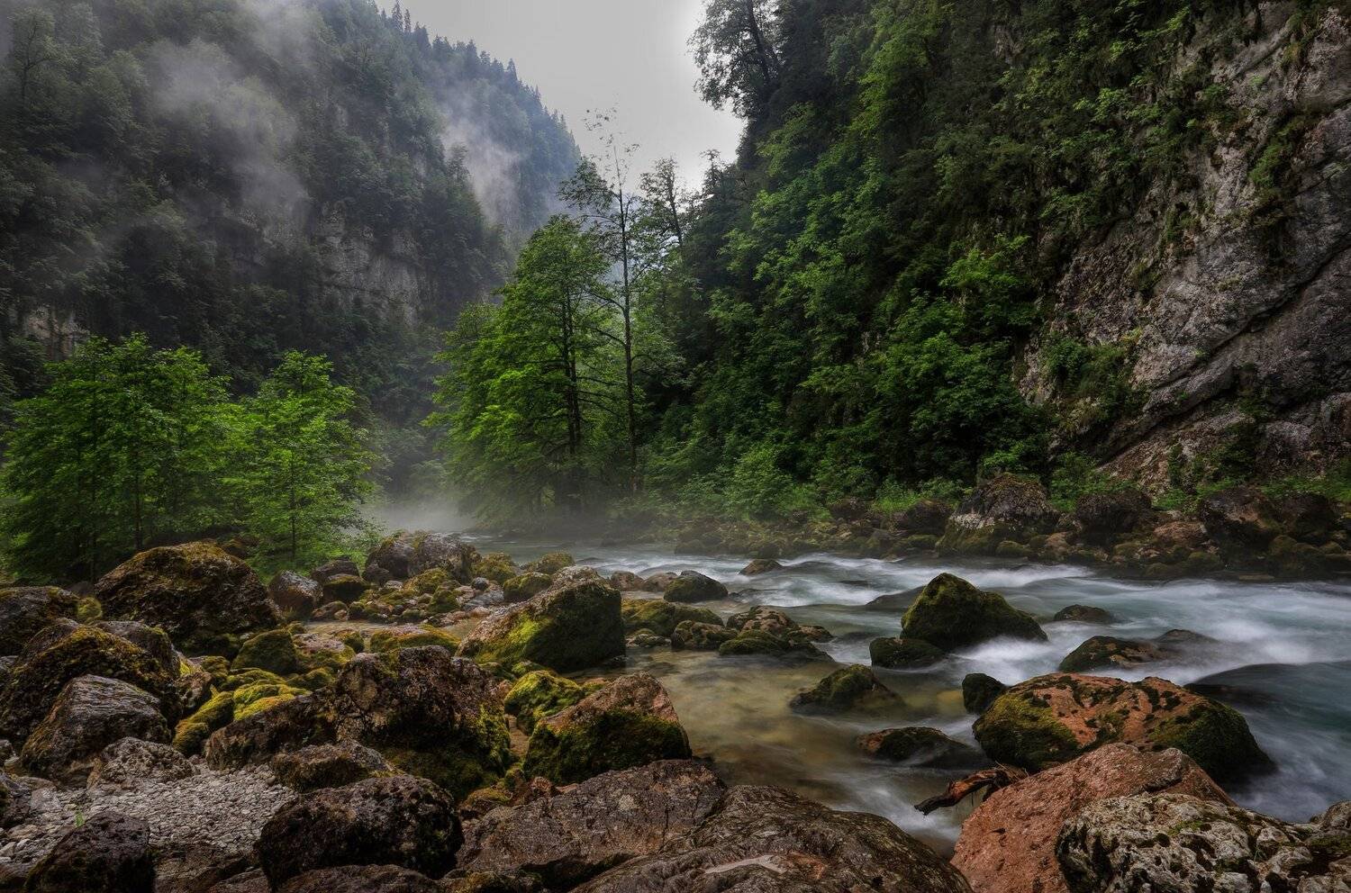 кавказ, река, горы, туман, мокрый,, Татьяна