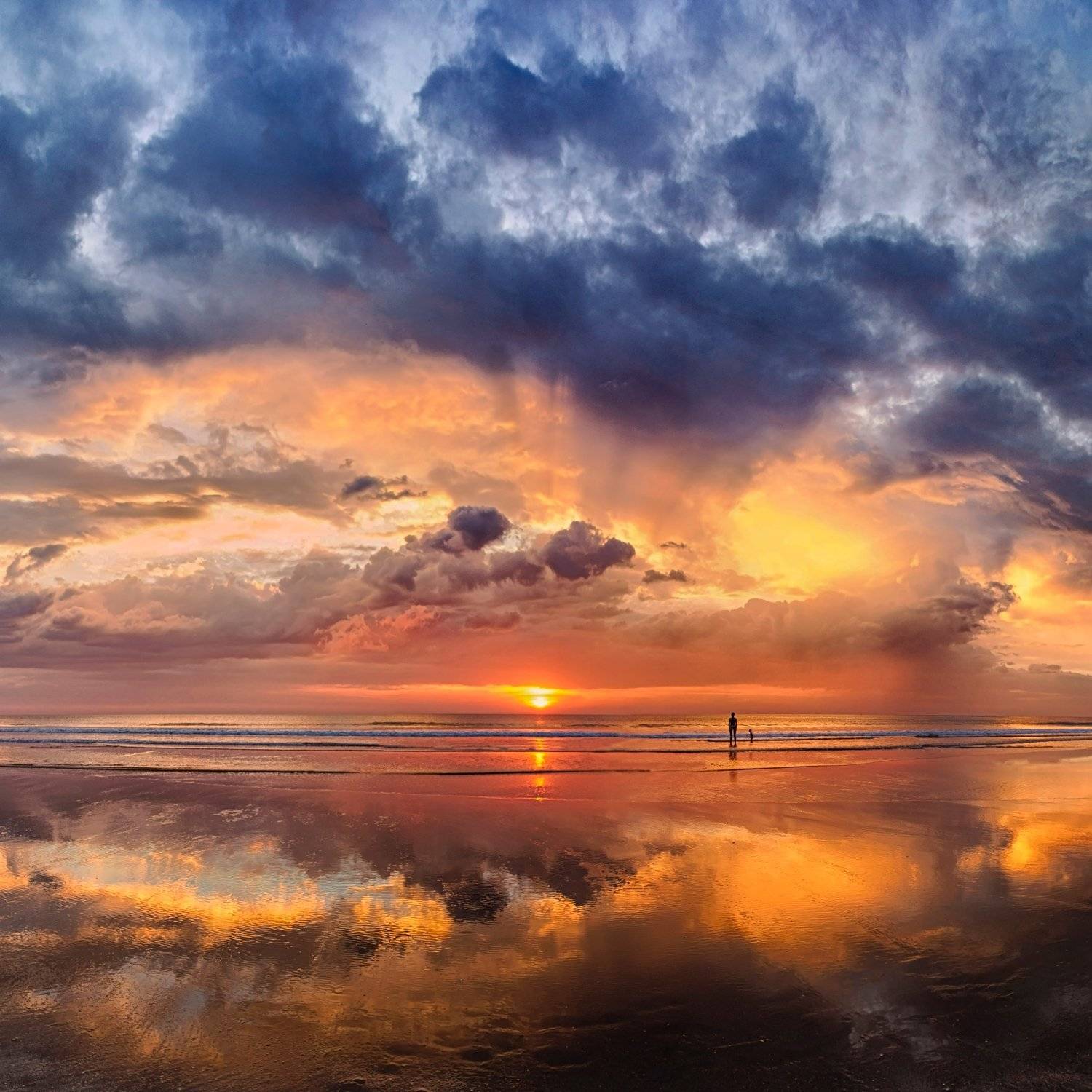 , Людмила Прокофьева