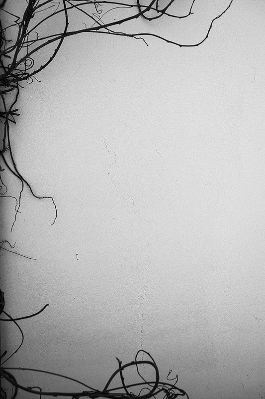 Without content фото превью