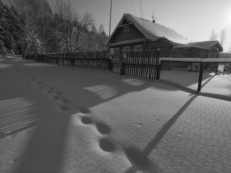 *** фото превью