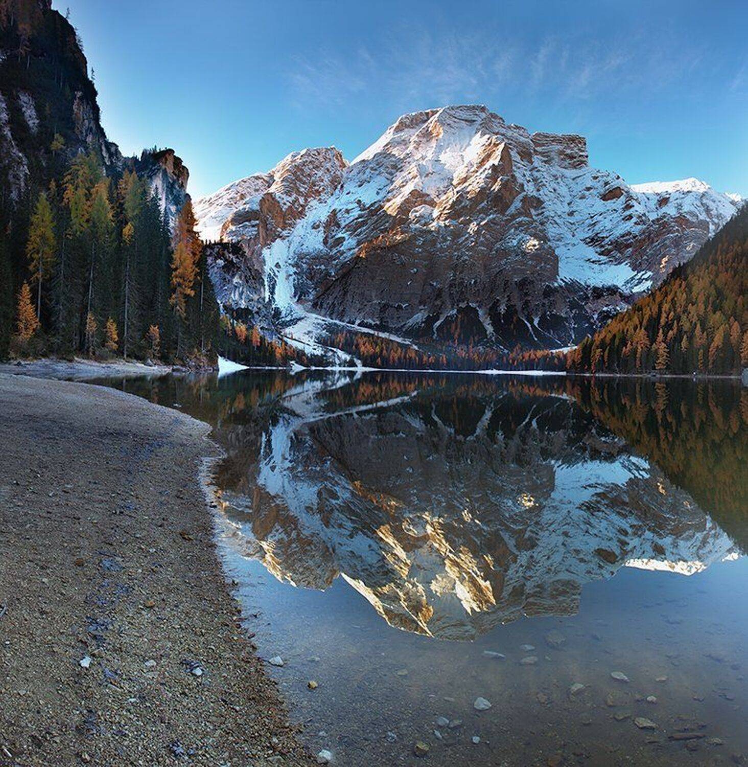 , Игорь Дубровский