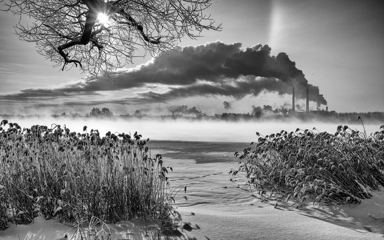 , Алексей Харитонов