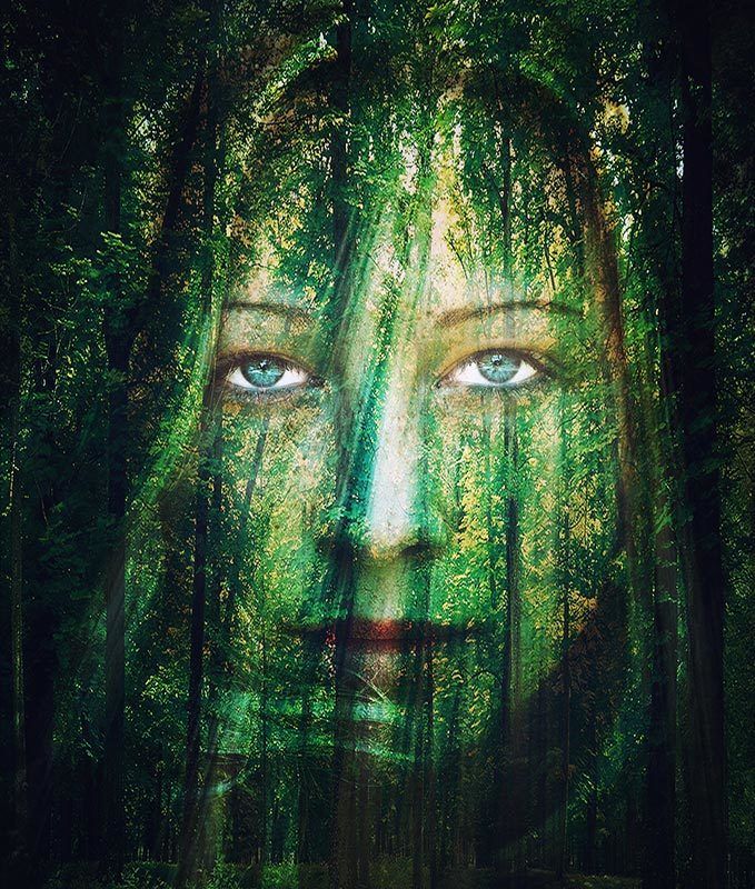 OutOfTheWoods Out Of The Woods фото превью