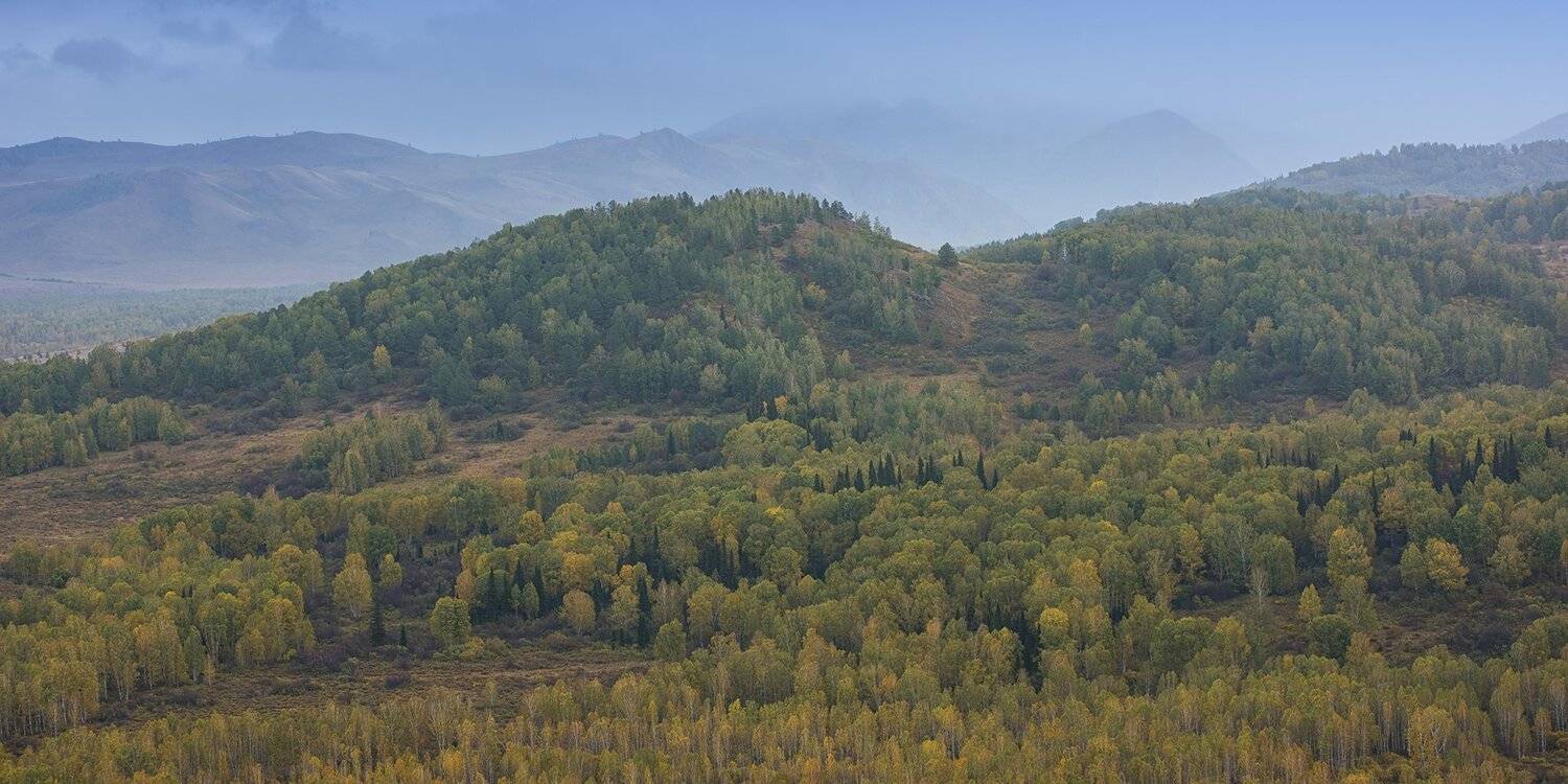 алтай, тигирек, Ruslan