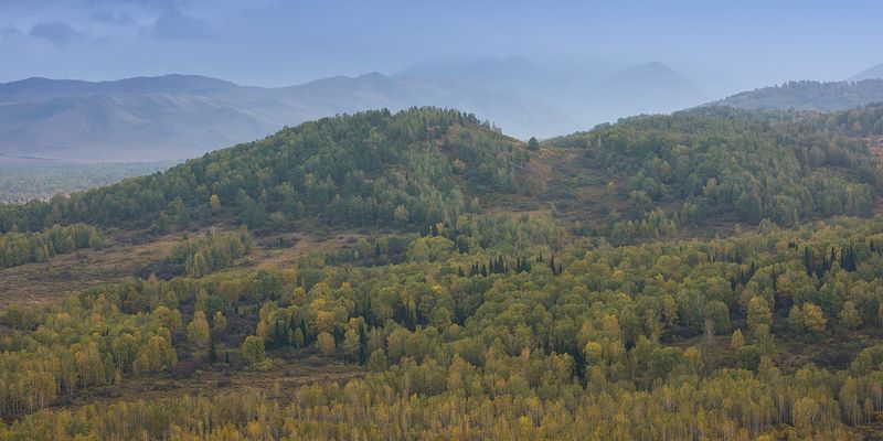 алтай, тигирек  фото превью