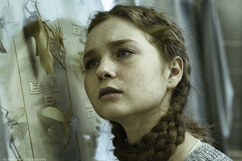 портрет The Collection фото превью