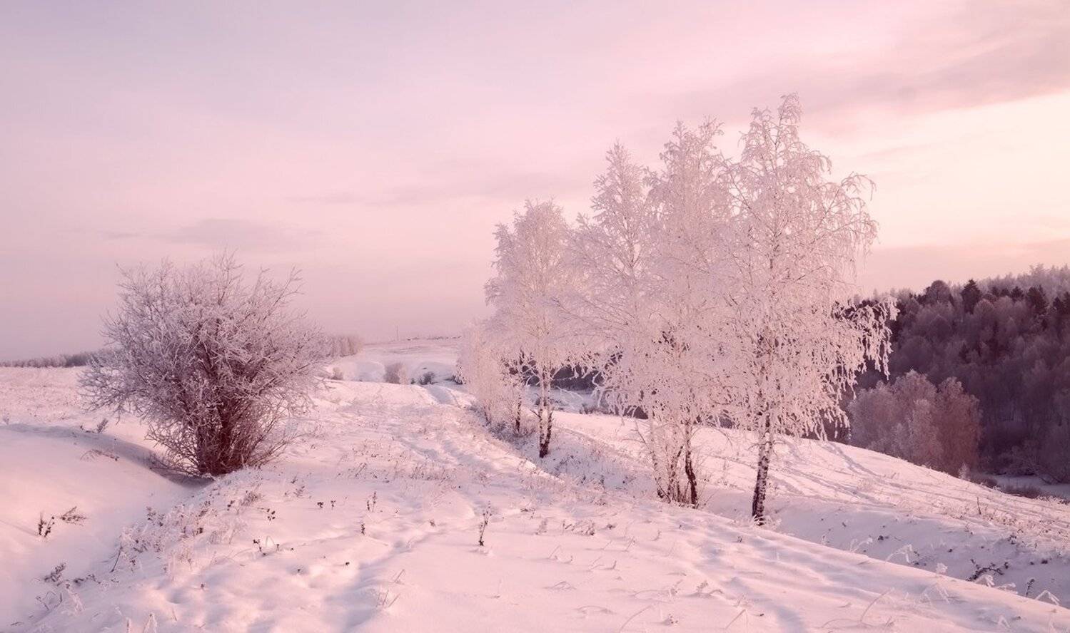 , Николай Морский