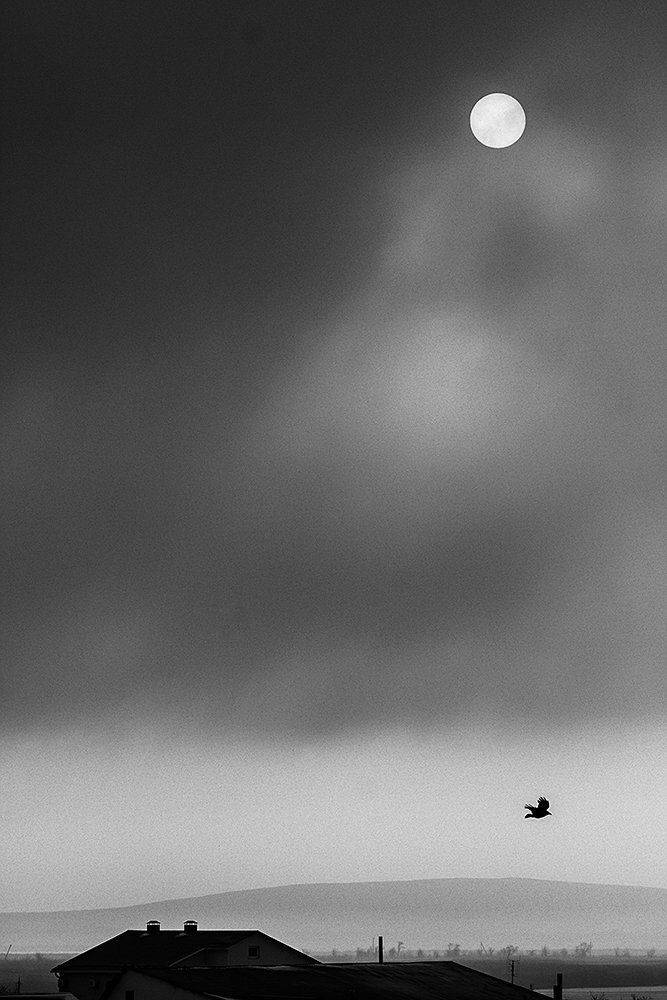 , Александр