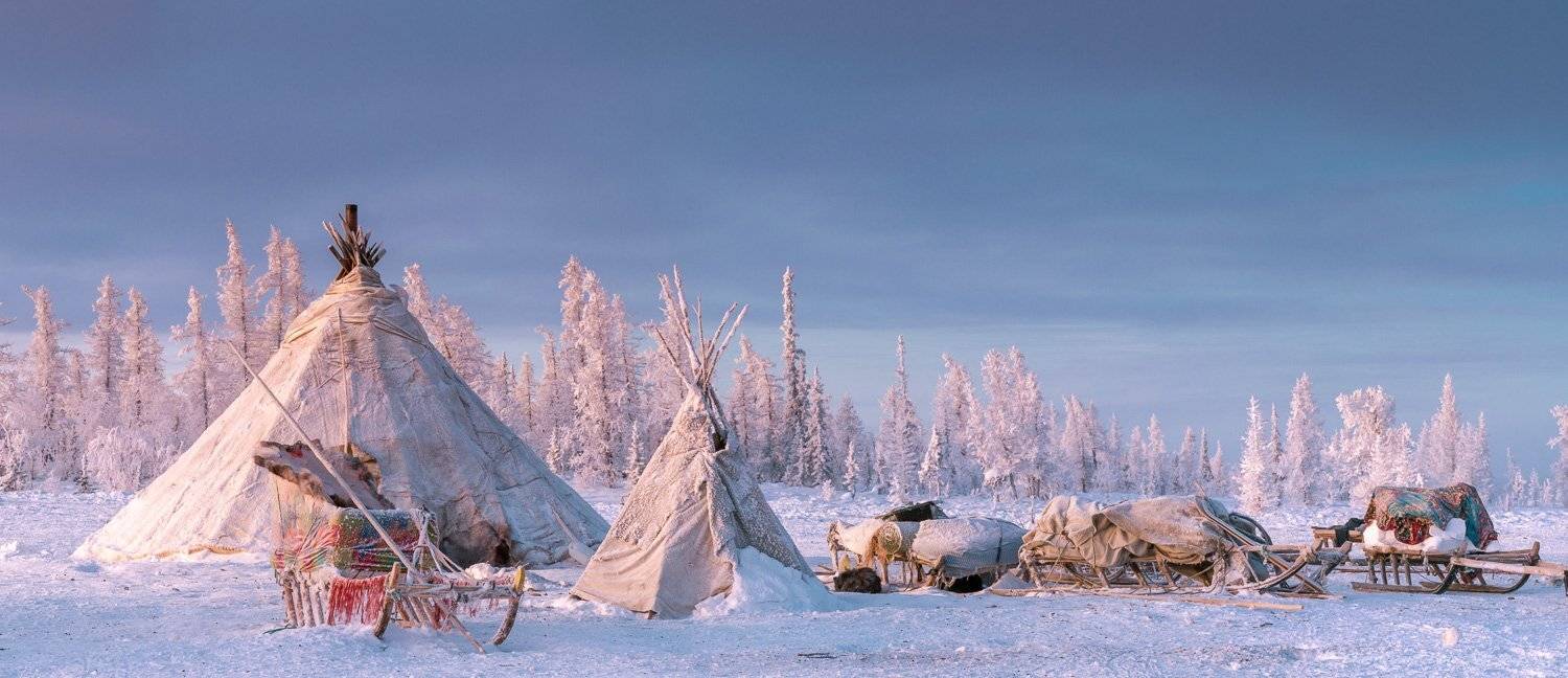яман, янао, стойбище, чум, зима, нарты, Екатерина (PhotoJourneys.ru) Васягина