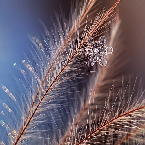 С неба звезда