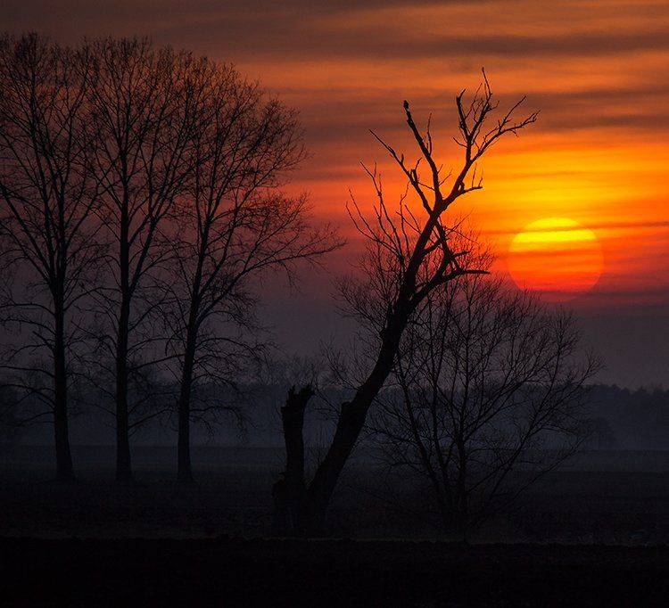 , Pawel Plucinski