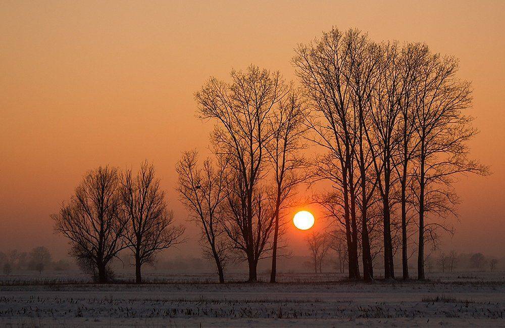 , Pawel Plucinski