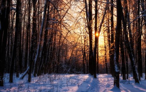 солнце и снег